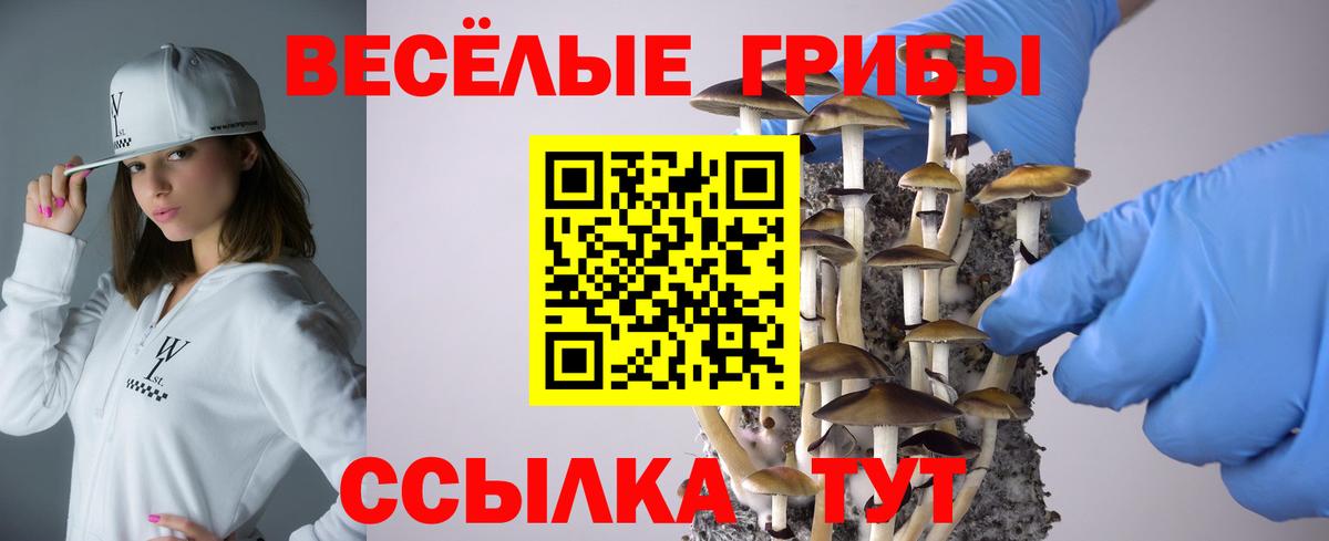 Моздок  Псилоцибиновые грибы мухоморы  где можно купить наркотик  Вход с VPN 